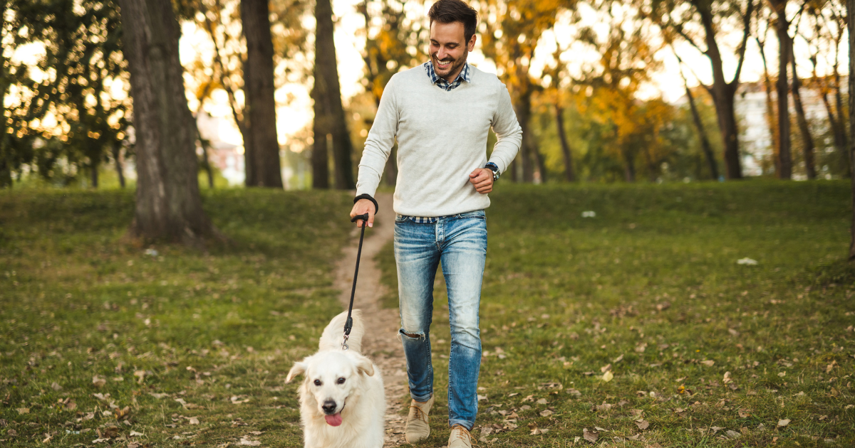 Trendy w rynku opieki nad zwierzętami w Polsce: co to oznacza dla marketingu?