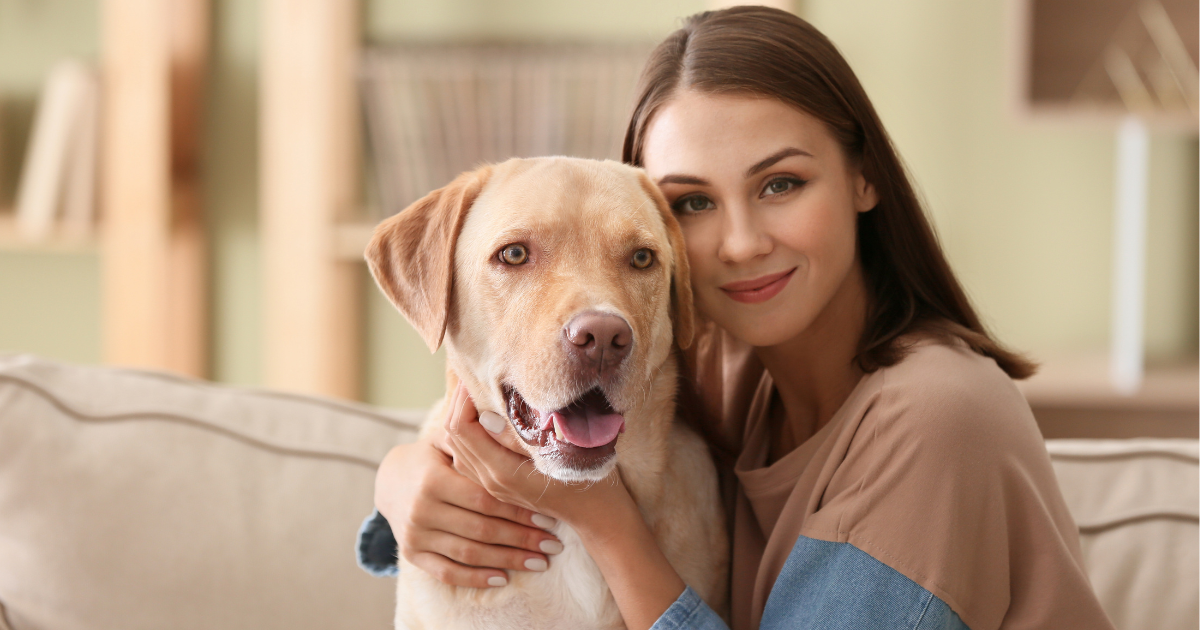 Badania rynku usług specjalistycznych dla zwierząt: czego oczekują opiekunowie?